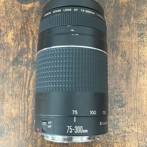 canon zoom long lens